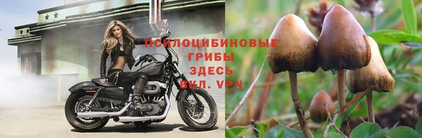 соль курить ск Краснослободск