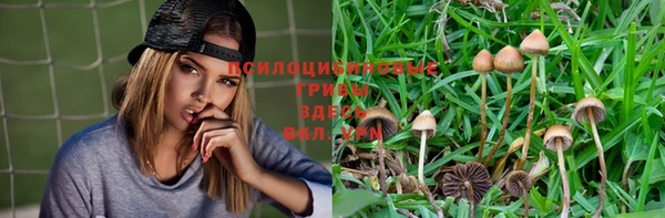 соль курить ск Краснослободск