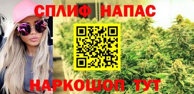 PSILOCYBIN Бийск