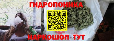 PSILOCYBIN Бийск