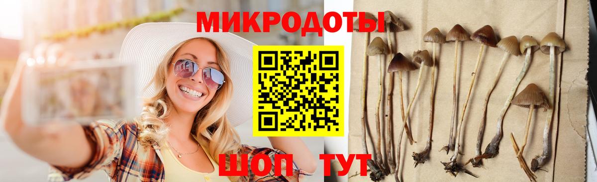 Псилоцибиновые грибы MAGIC MUSHROOMS  Вход с VPN  купить  сайты  Ноябрьск  Псилоцибиновые грибы Psilocybe 