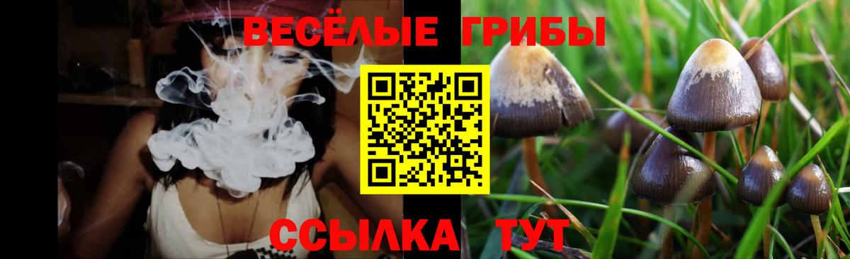 Псилоцибиновые грибы Cubensis  Ноябрьск 