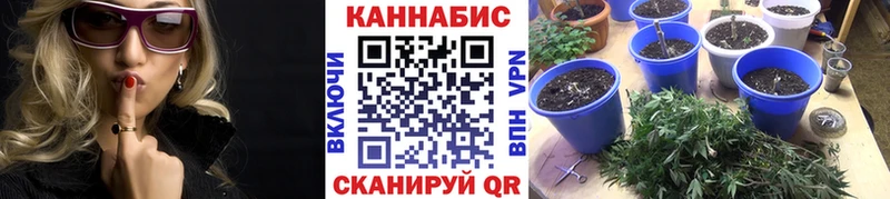 Бошки марихуана Amnesia  где купить наркоту  Ноябрьск 