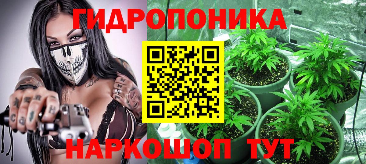 Шишки марихуана SATIVA & INDICA Ноябрьск